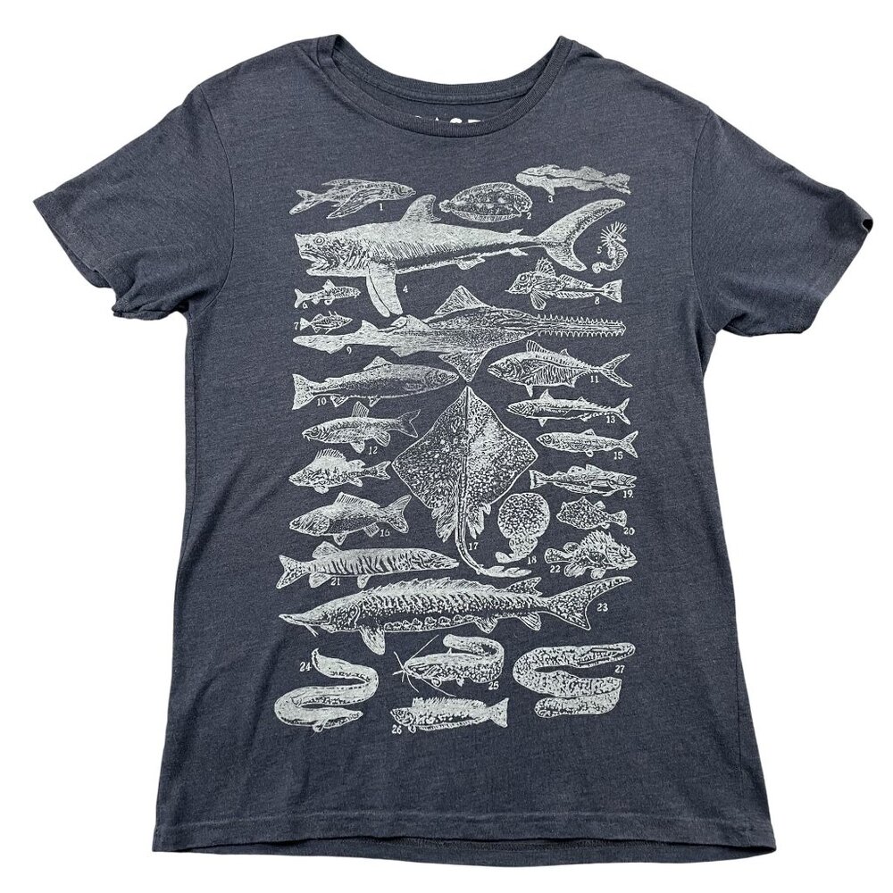 Case Study Sharks & Fish T-Shirt Mens Large‎ Blue Tee